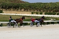 2015_Race 3 - 11